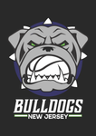 New! NJ Bulldogs Dog